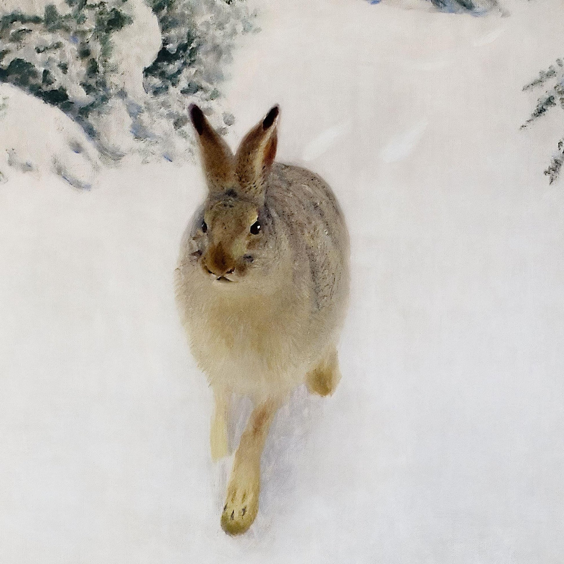 Hare standing in a snowy landscape with trees in the background