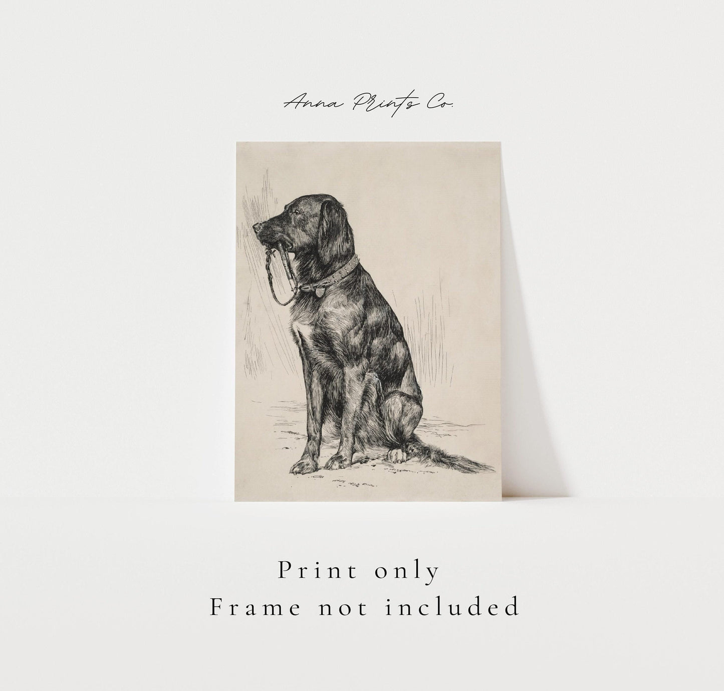 Vintage art print of Aldrich's Dog Neutral Drawing with text overlay stating frame not included