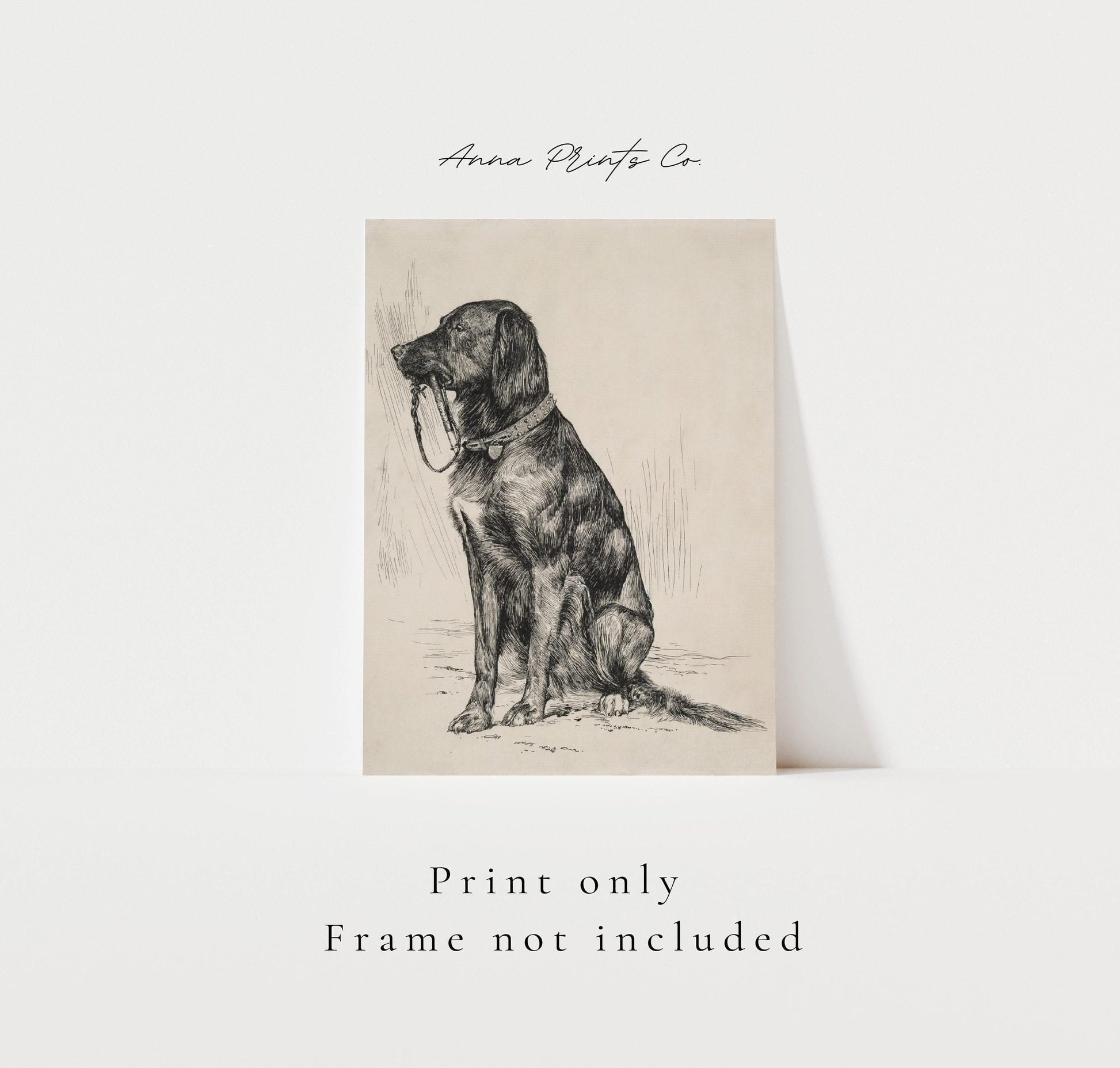 Vintage art print of Aldrich's Dog Neutral Drawing with text overlay stating frame not included