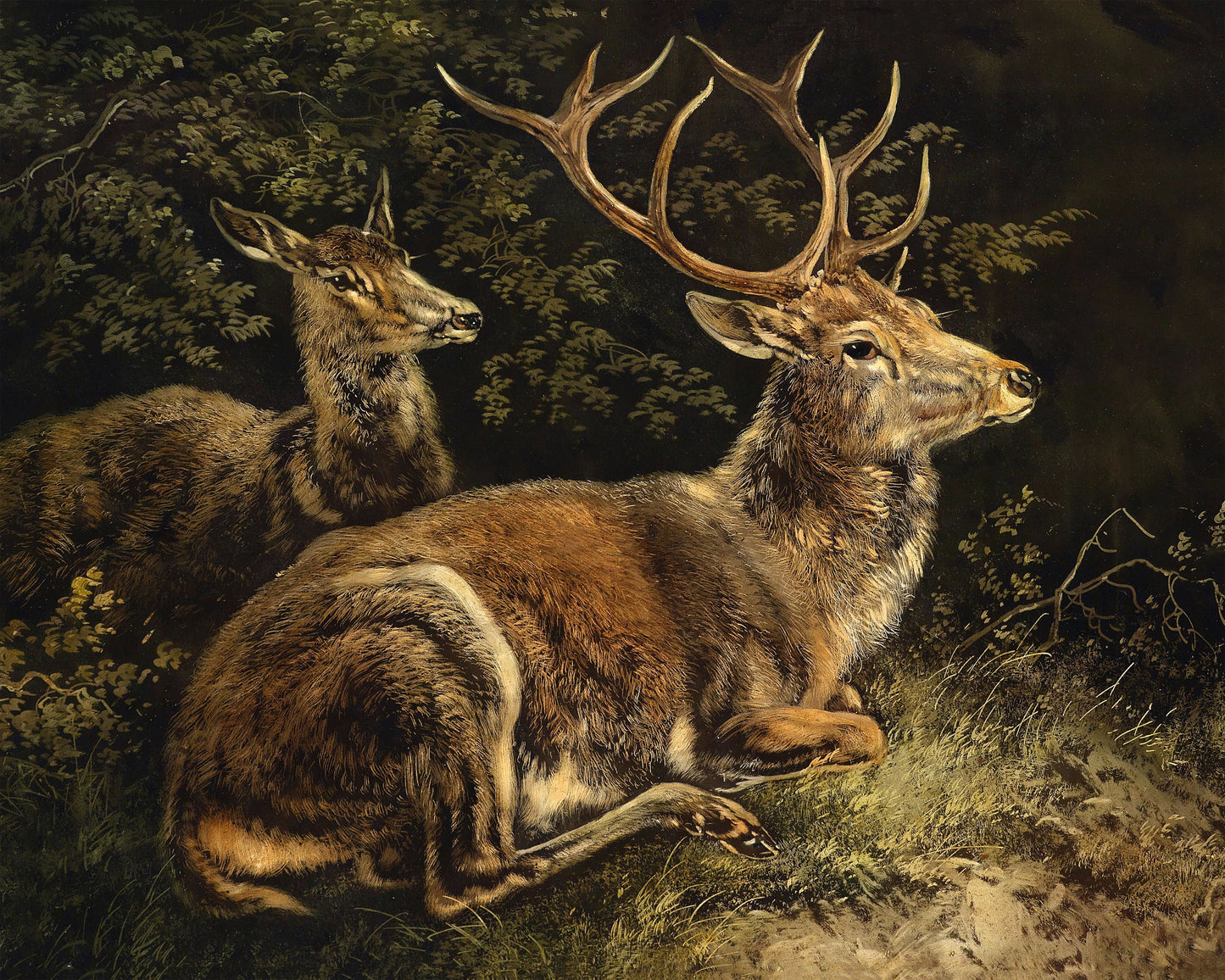 Art print of Deer by August Schleich, c. mid 19th century