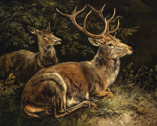 Art print of Deer by August Schleich, c. mid 19th century