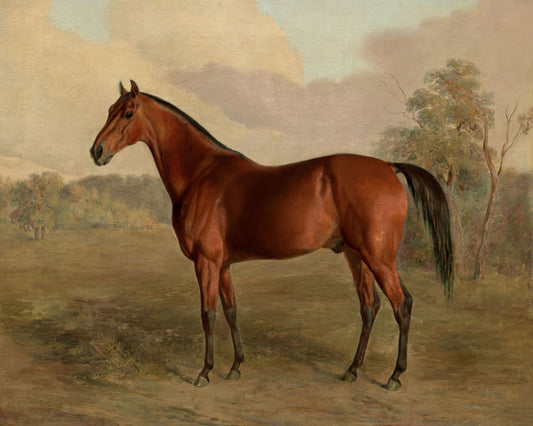 Art print of Kentucky Woodpecker by Edward Troye, 1834