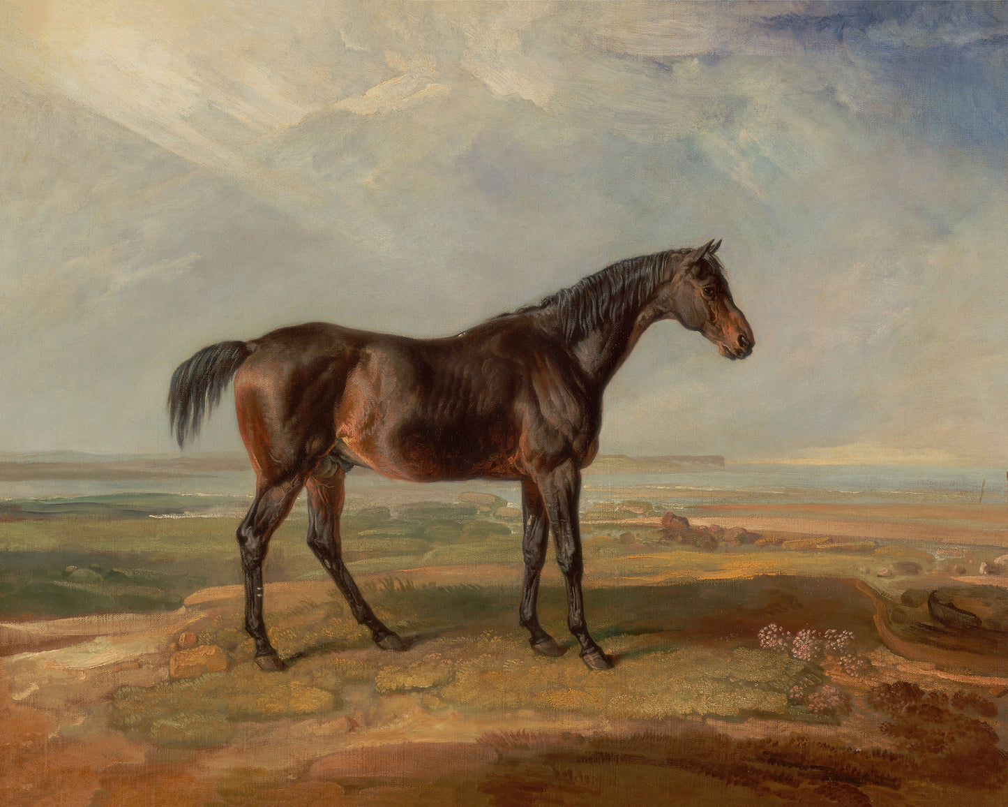 Art print of Dr. Syntax, a Bay Racehorse, Standing in a Coastal Landscape, an Estuary Beyond by James Ward, 1820