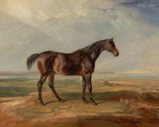 Art print of Dr. Syntax, a Bay Racehorse, Standing in a Coastal Landscape, an Estuary Beyond by James Ward, 1820