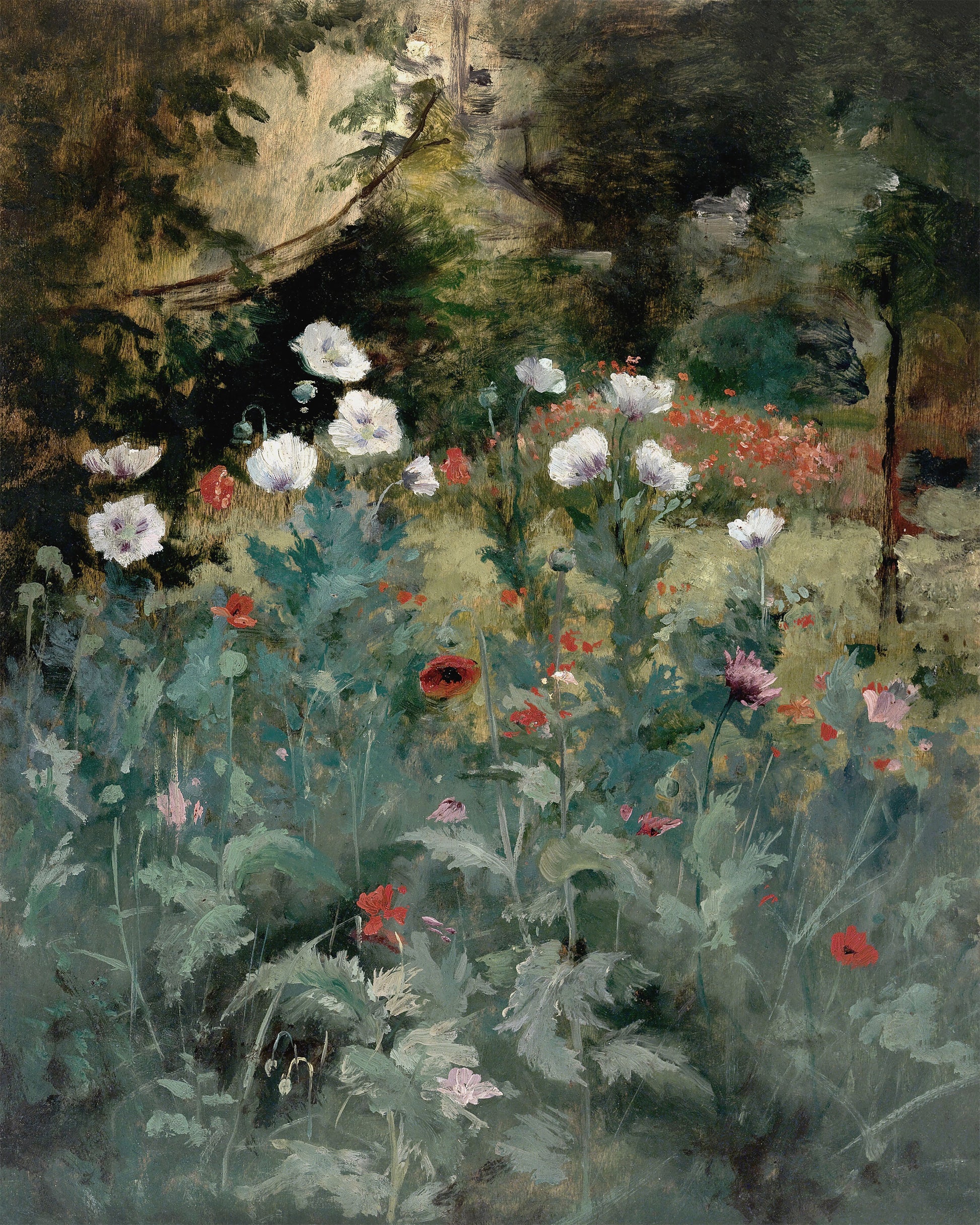 Art print of Poppies by Eliphalet Fraser Andrews, 19th century