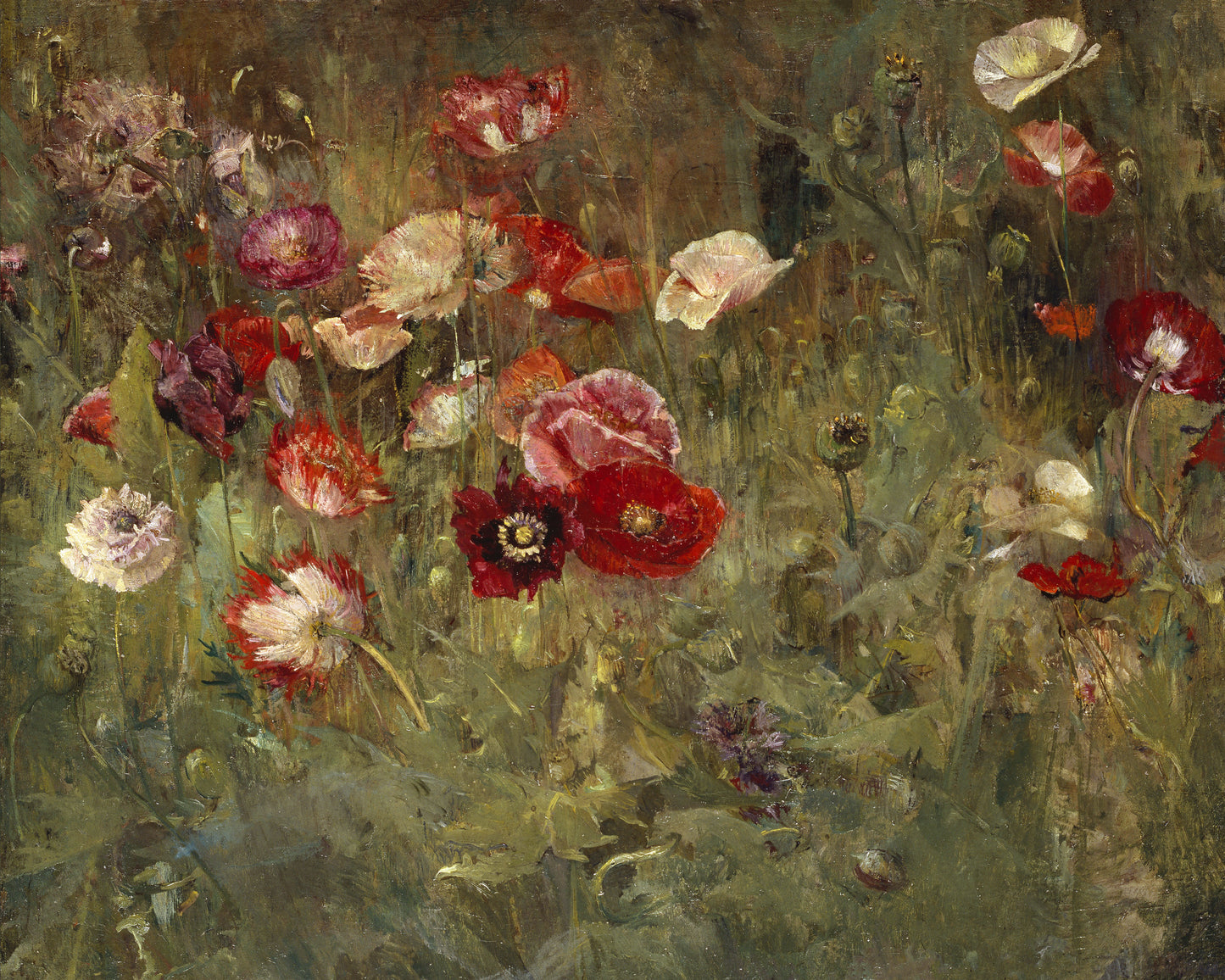 Art print of A Bed of Poppies by Maria Oakey Dewing, 1909