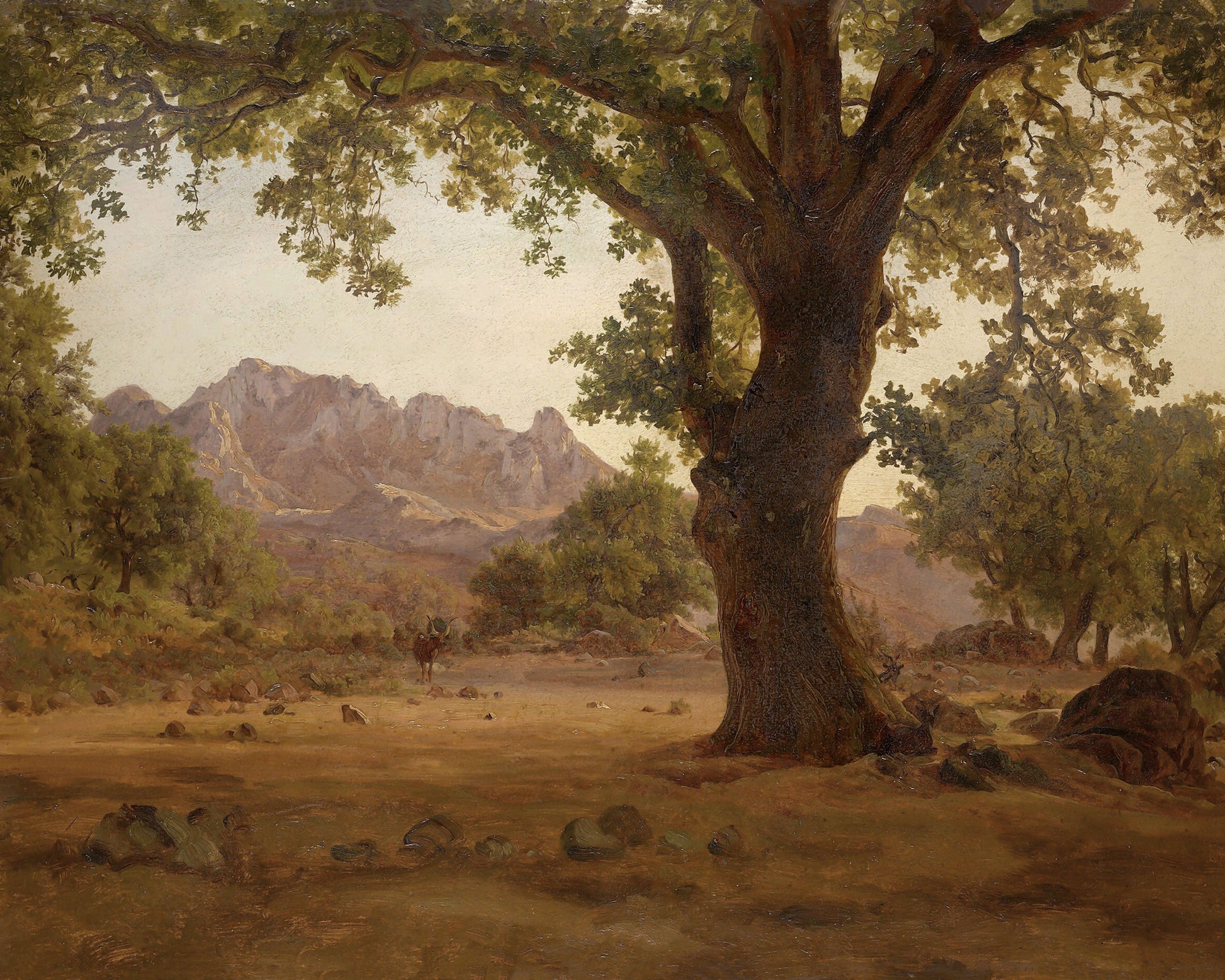 Art print of Oak Tree in a Mountainous Landscape by unknown artist, 19th century