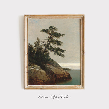 Vintage art print of Old Pine Coastal Landscape Painting displayed in wooden frame
