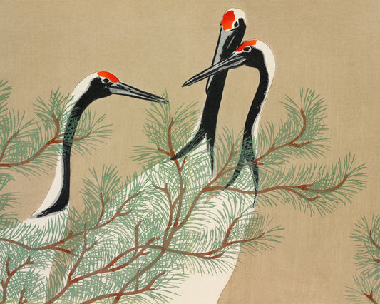 Art print of Momoyogusa - Flowers of a Hundred Generations by Kamisaka Sekka, c. 1910