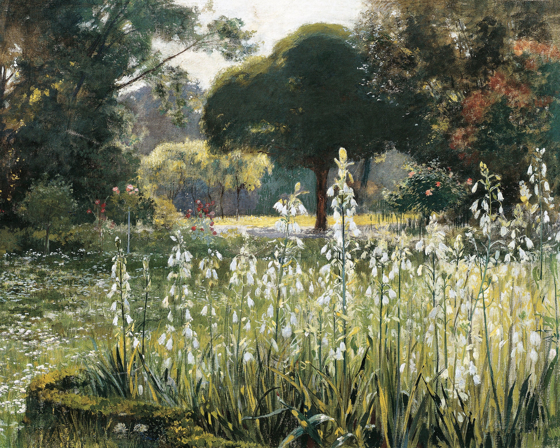 Art print of Summer Hyacinths, Galtonia) by Hugo Charlemont, c. 1901