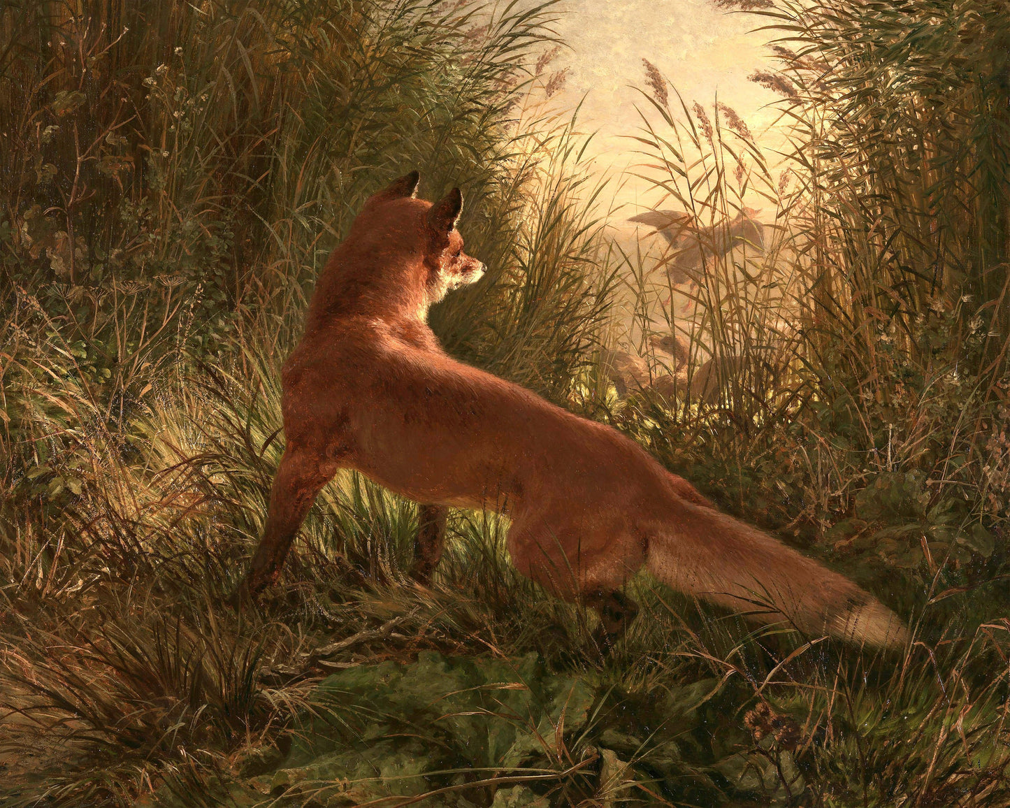 Art print of A Fox by Siegwald Dahl, 1868