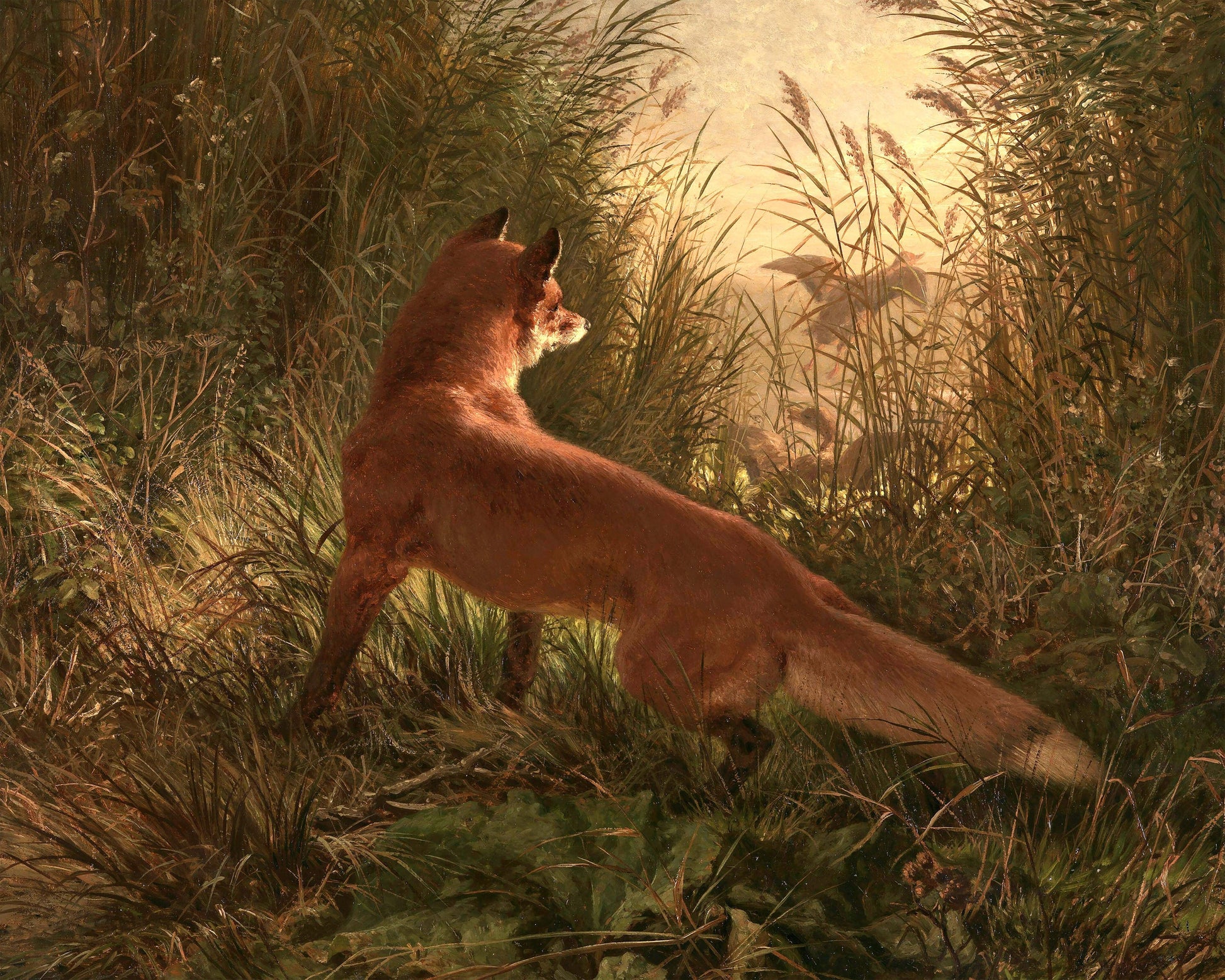 Art print of A Fox by Siegwald Dahl, 1868