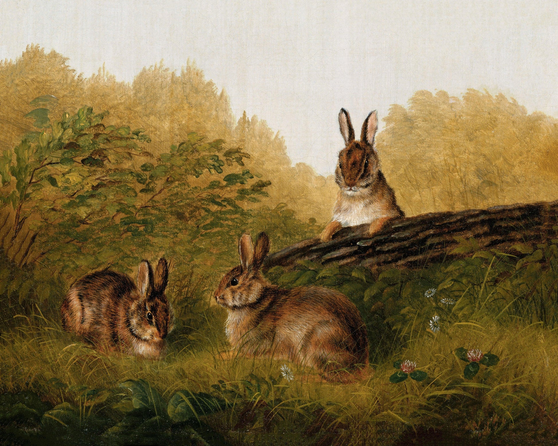 Art print of Rabbits on a Log by Arthur Fitzwilliam Tait, 1897