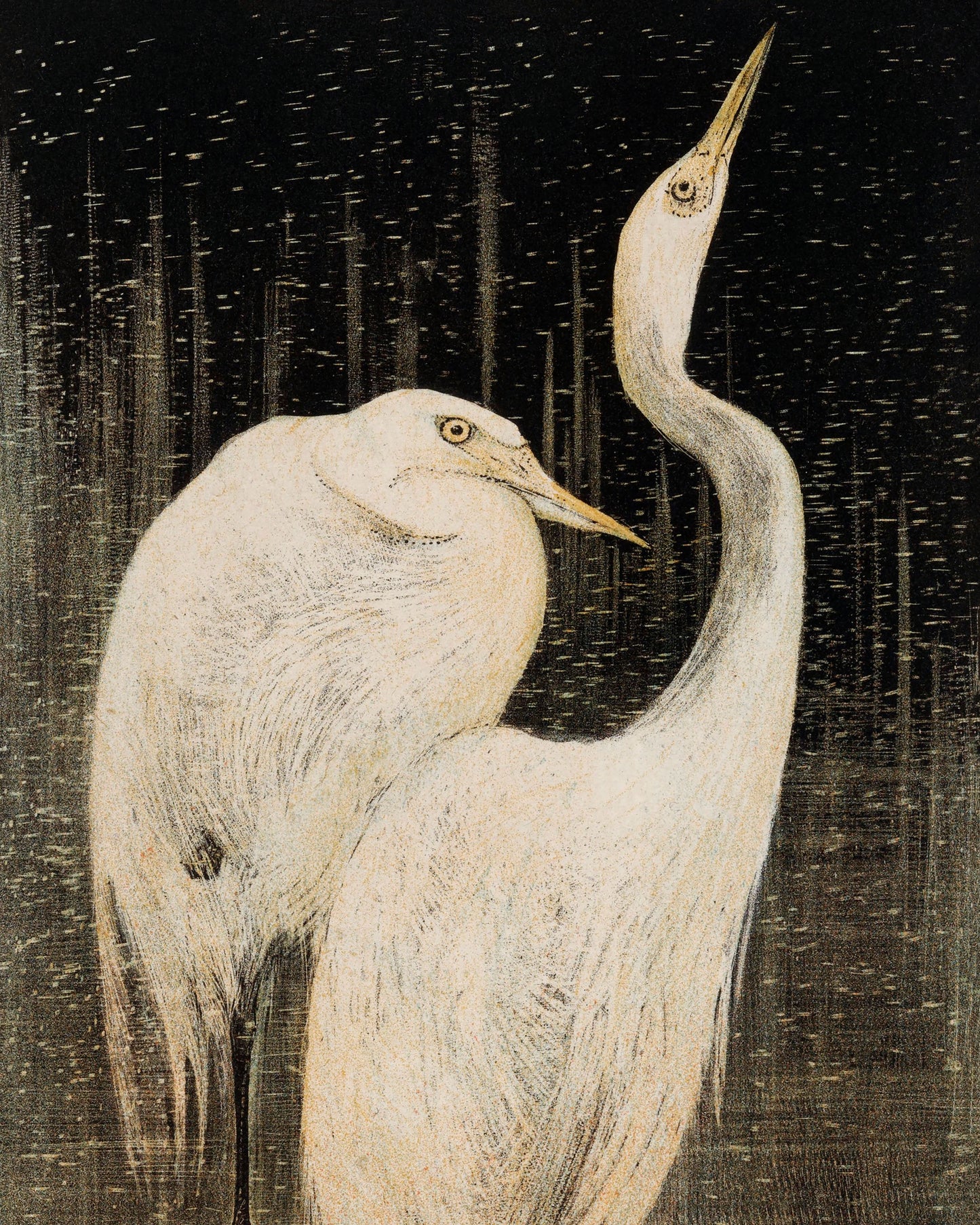 Art print of Two Egrets by Theo Van Hoytema, 1878–1905
