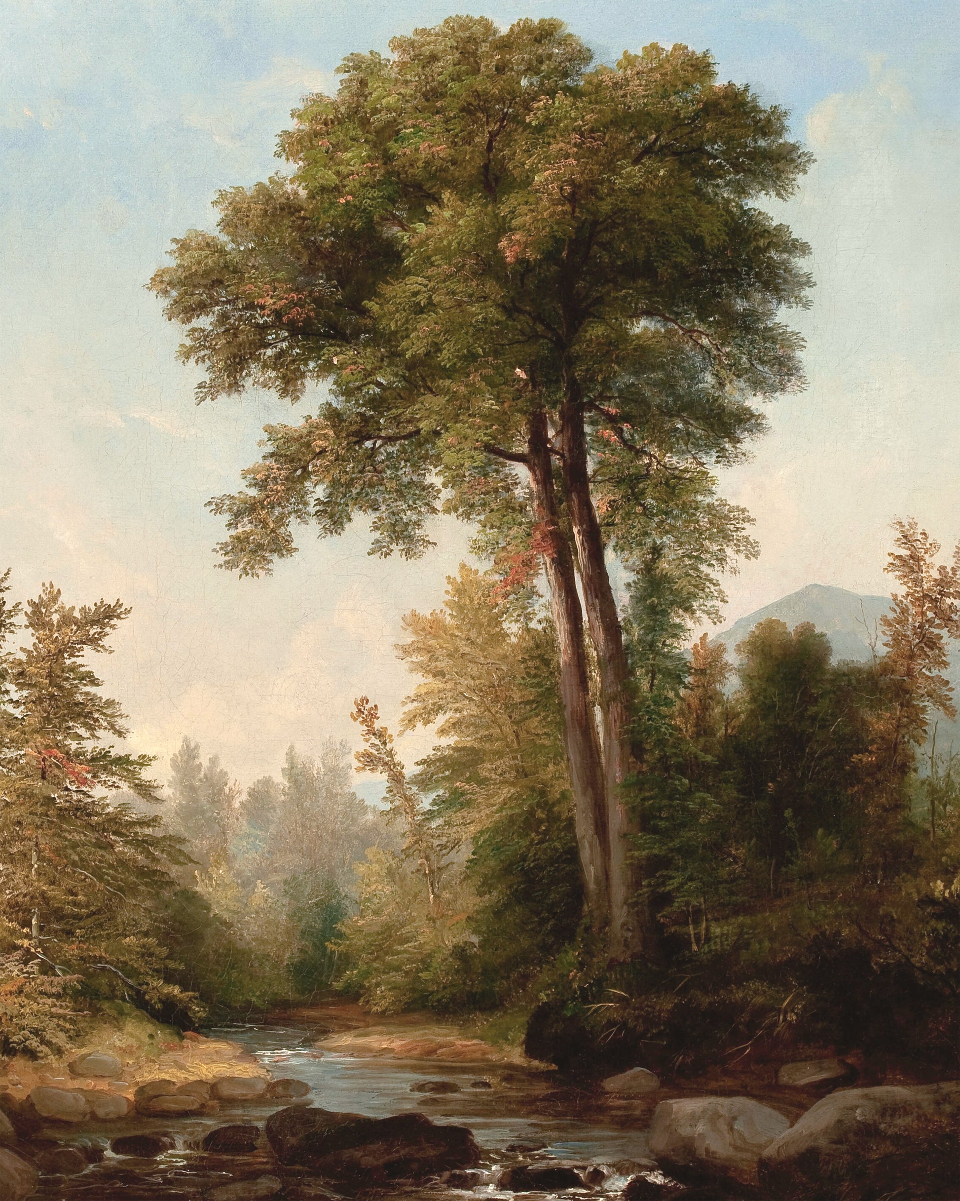 Art print of A Natural Monarch by Asher Brown Durand, 1853