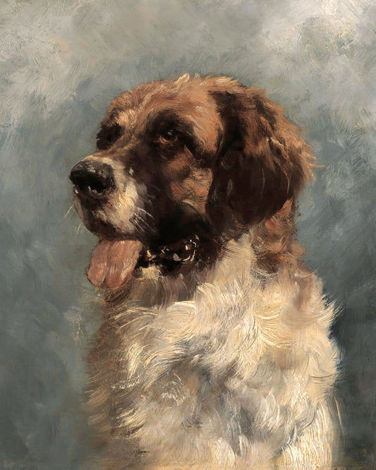 Art print of Saint Bernard Dog by Richard Voltz, 1890