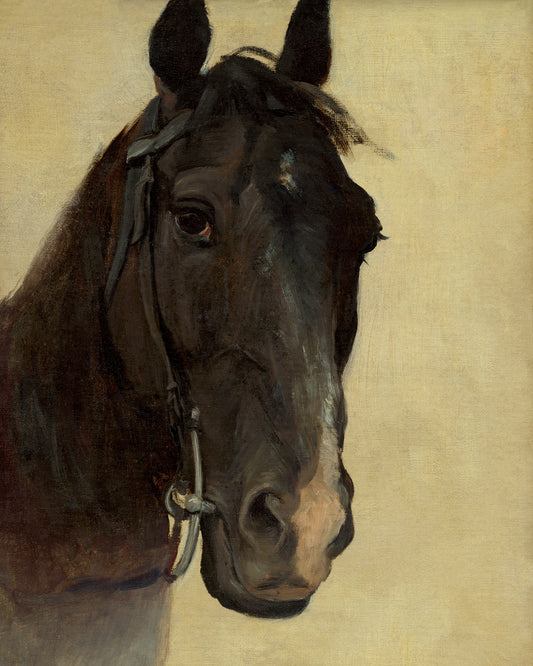 Art print of Head Study of Horse Negro by Jozef Hanula, c. 1890