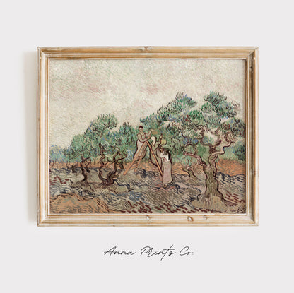 Vintage art print of The Olive Orchard by Van Gogh displayed in wooden frame