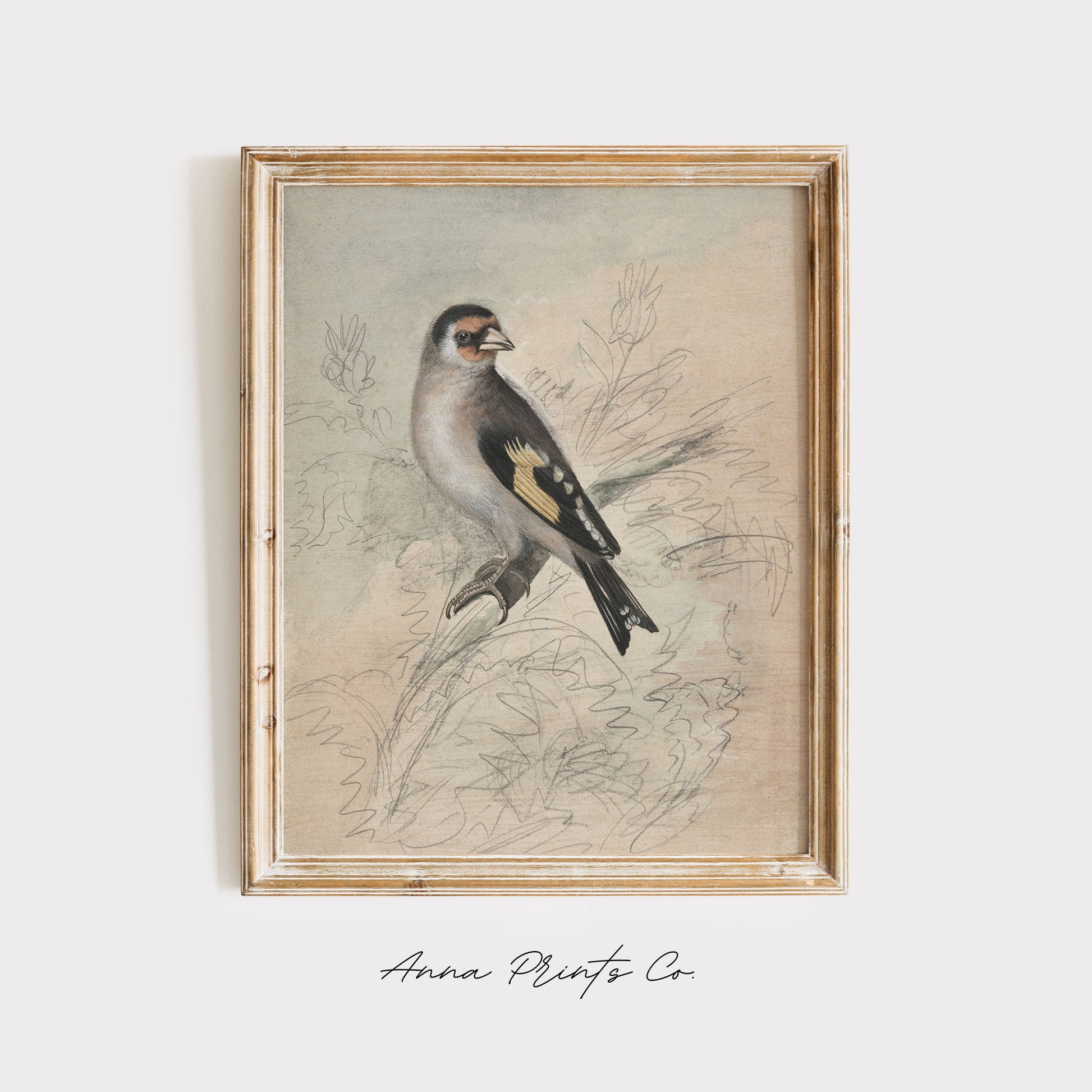 Vintage art print of A European Goldfinch Bird Sketch displayed in wooden frame