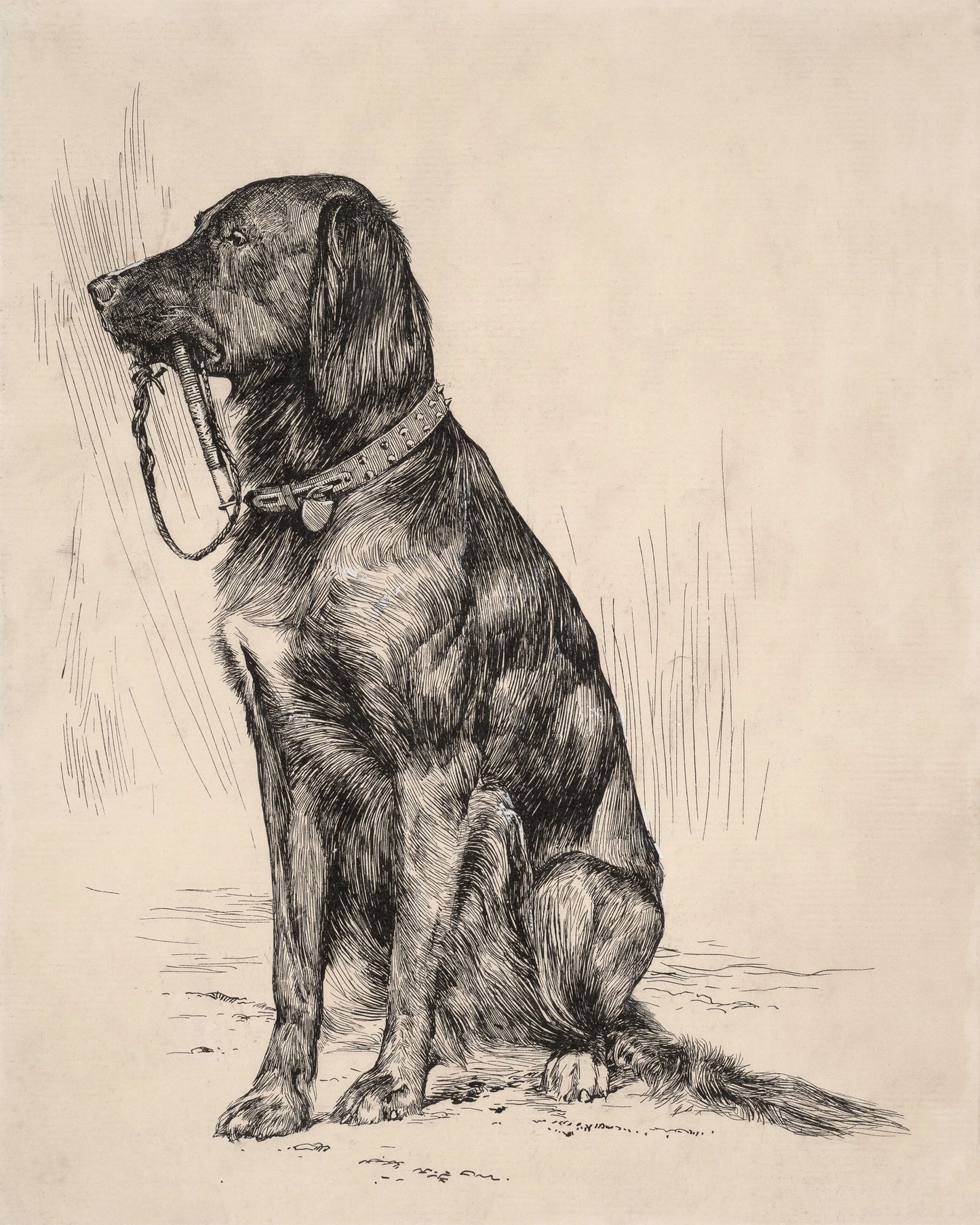 Art print of Aldrich's Dog by Arthur B. Davies, 1880
