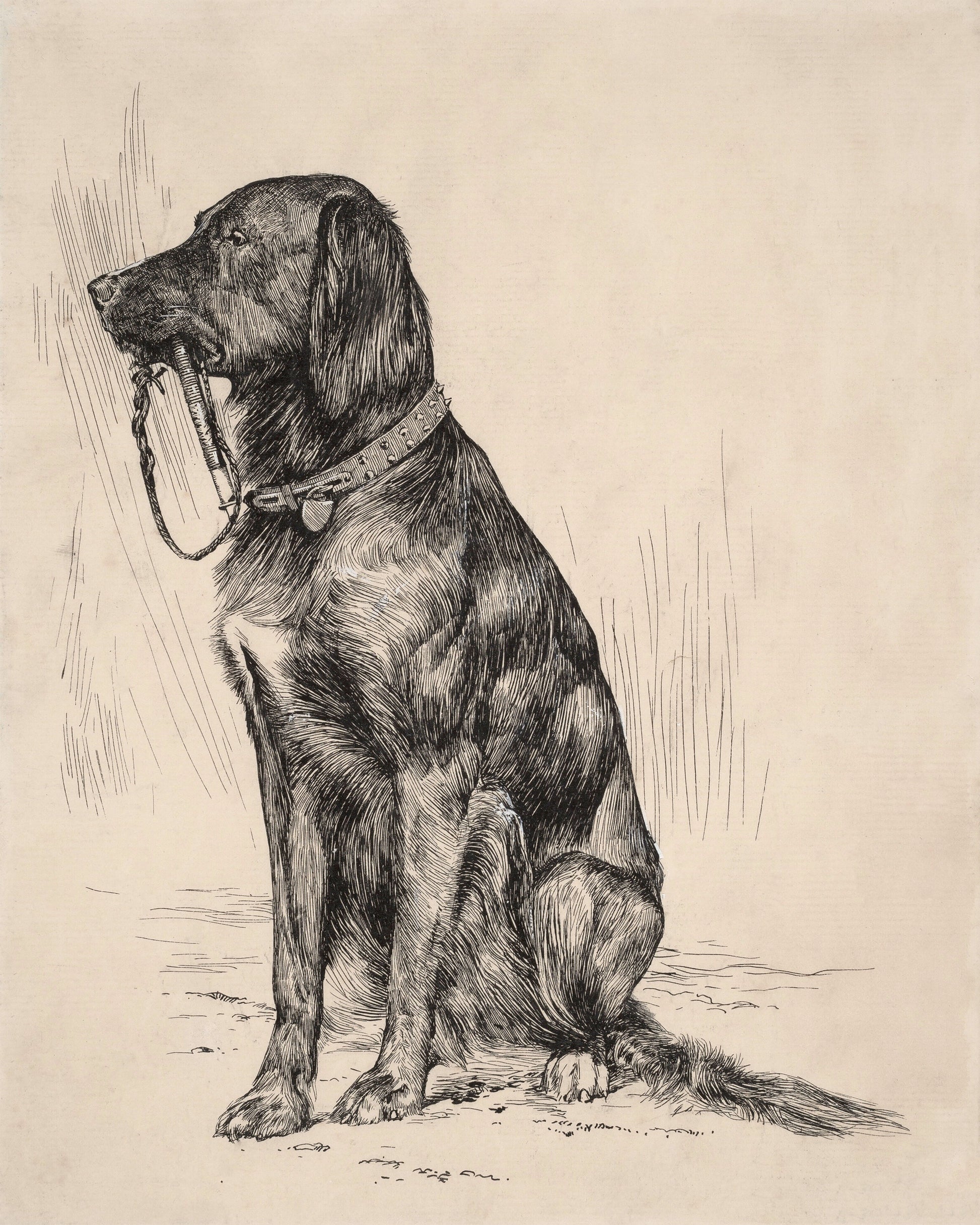 Art print of Aldrich's Dog by Arthur B. Davies, 1880