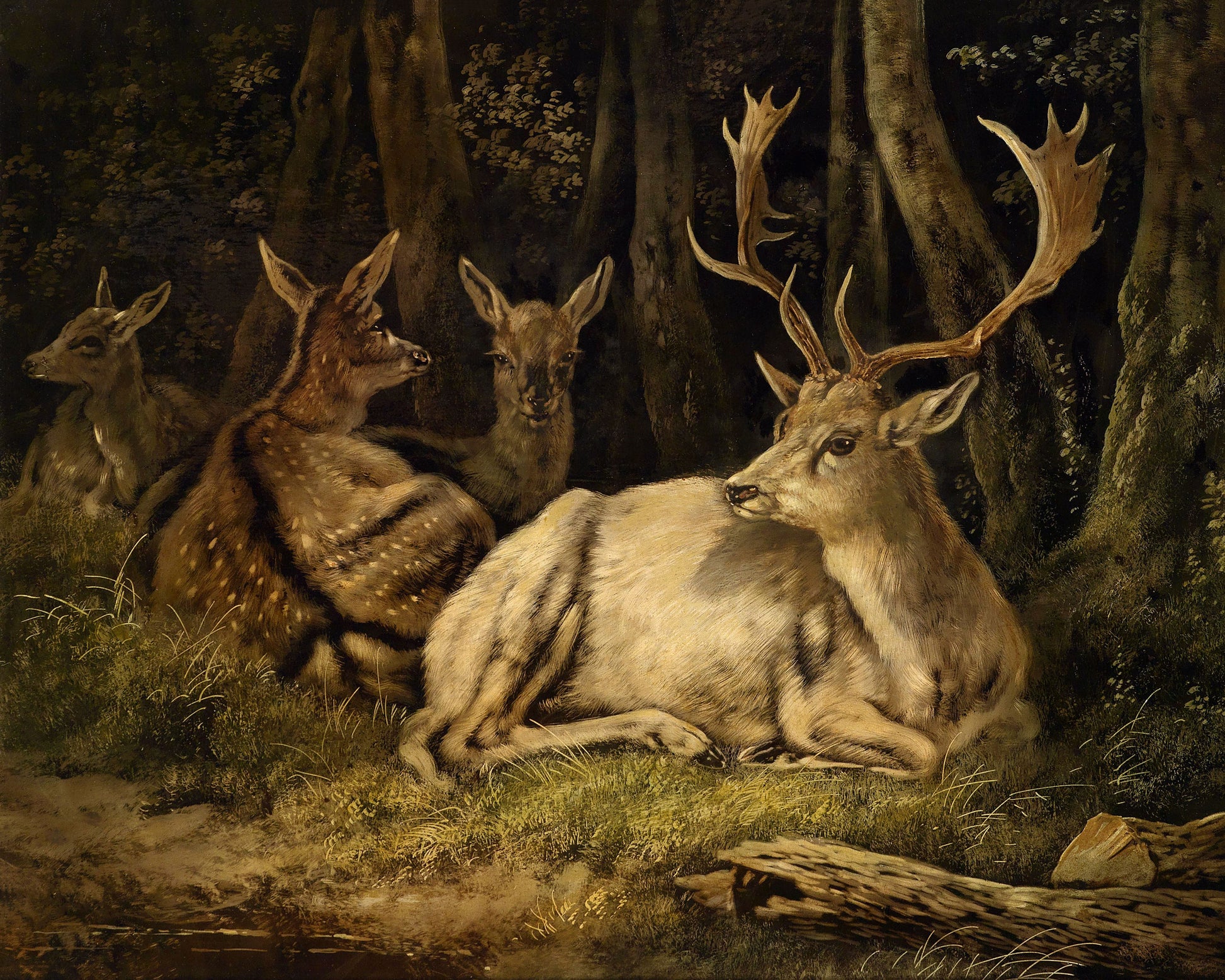 Art print of Fallow Deer by August Schleich, 19th century