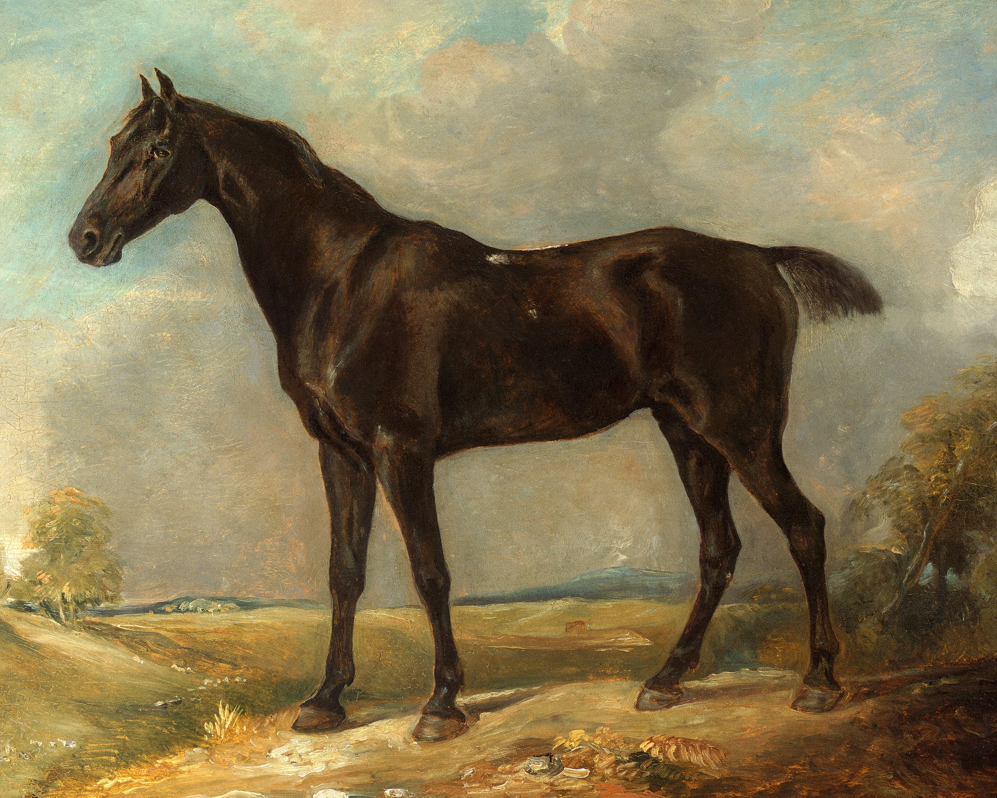 Art print of Golding Contable's Black Riding Horse by John Constable, c. early19th century