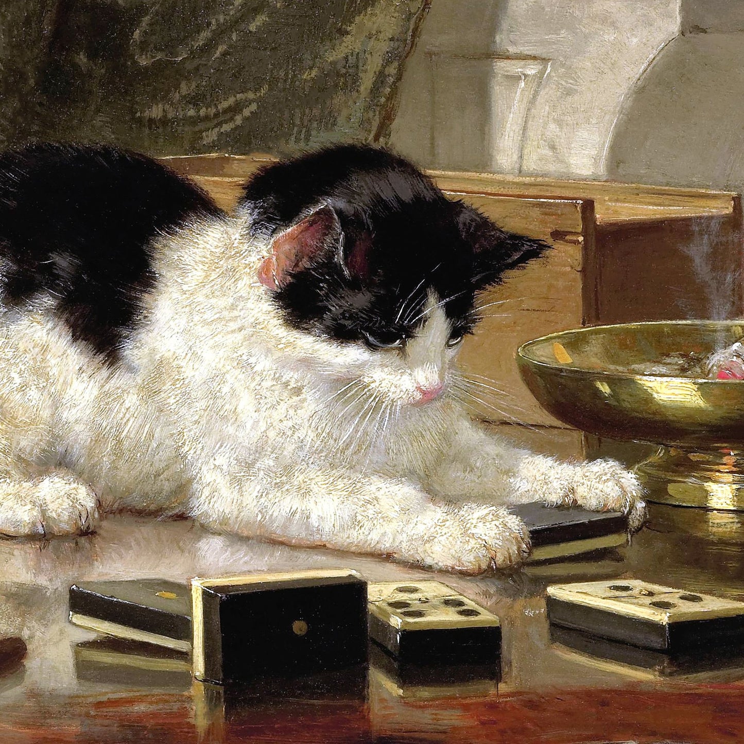 Cat playing with dice on a reflective surface