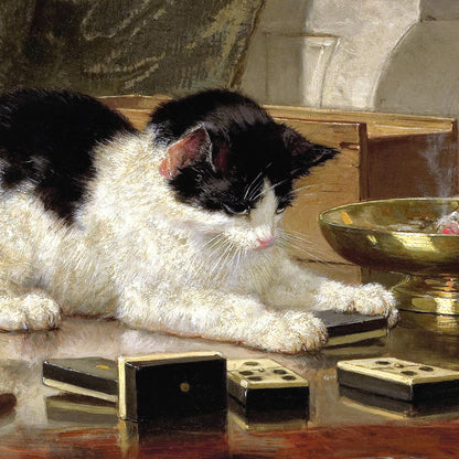 Cat playing with dice on a reflective surface