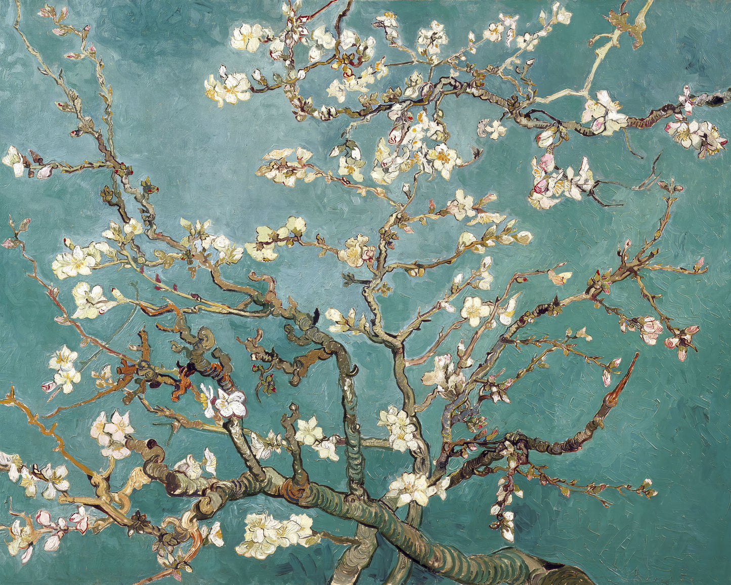 Art print of Almond Blossom by Vincent Van Gogh, 1890