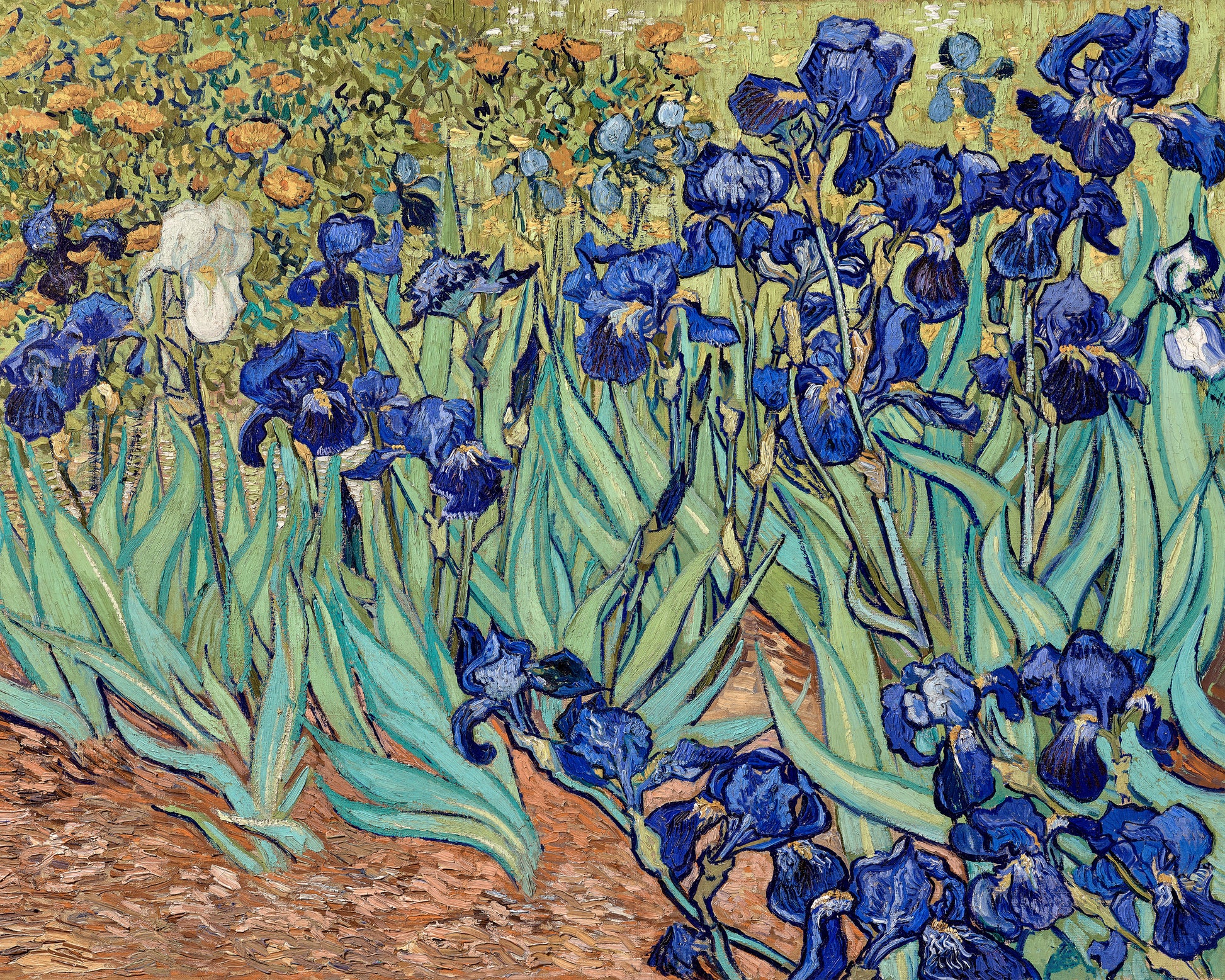 Art print of Irises by Vincent Van Gogh, 1889
