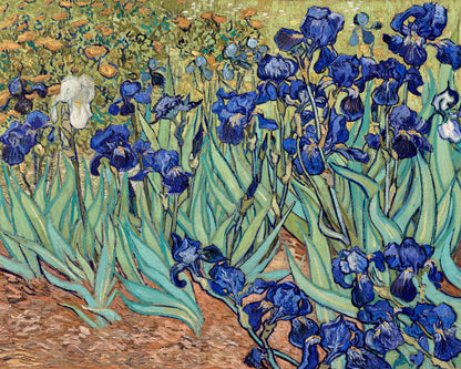 Art print of Irises by Vincent Van Gogh, 1889