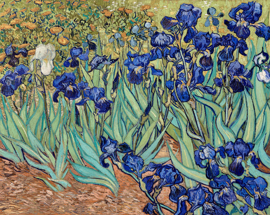Art print of Irises by Vincent Van Gogh, 1889