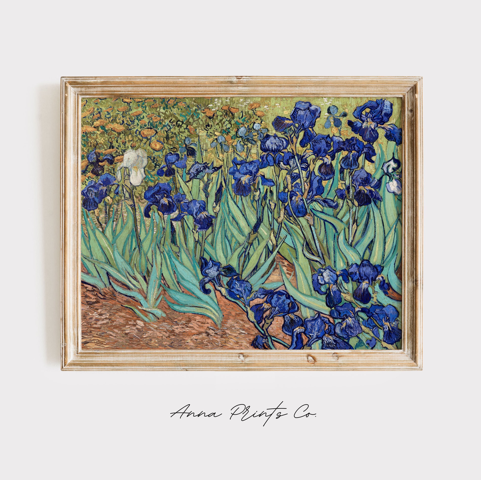 Vintage art print of Irises Painting by Van Gogh, 1889) displayed in wooden frame