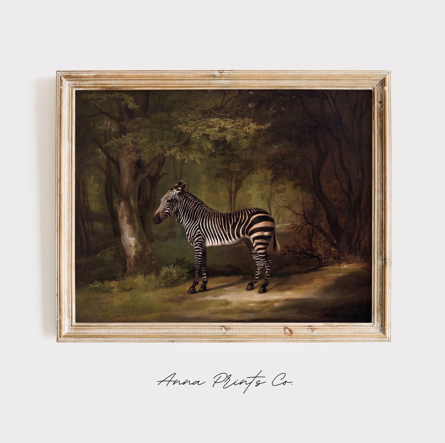 Vintage art print of Zebra in Landscape Animal Artwork displayed in wooden frame