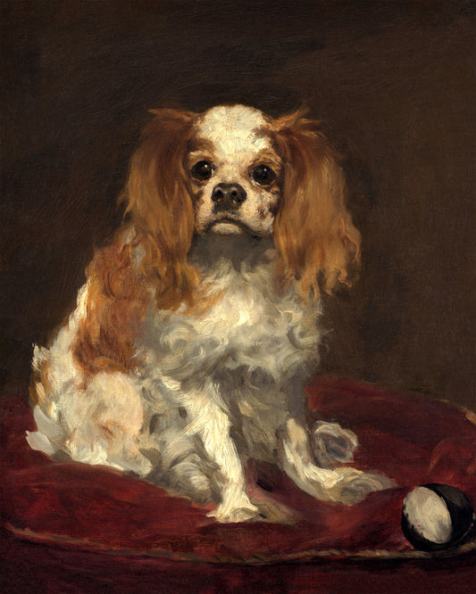 Art print of A King Charles Spaniel by Edouard Manet, c. 1886