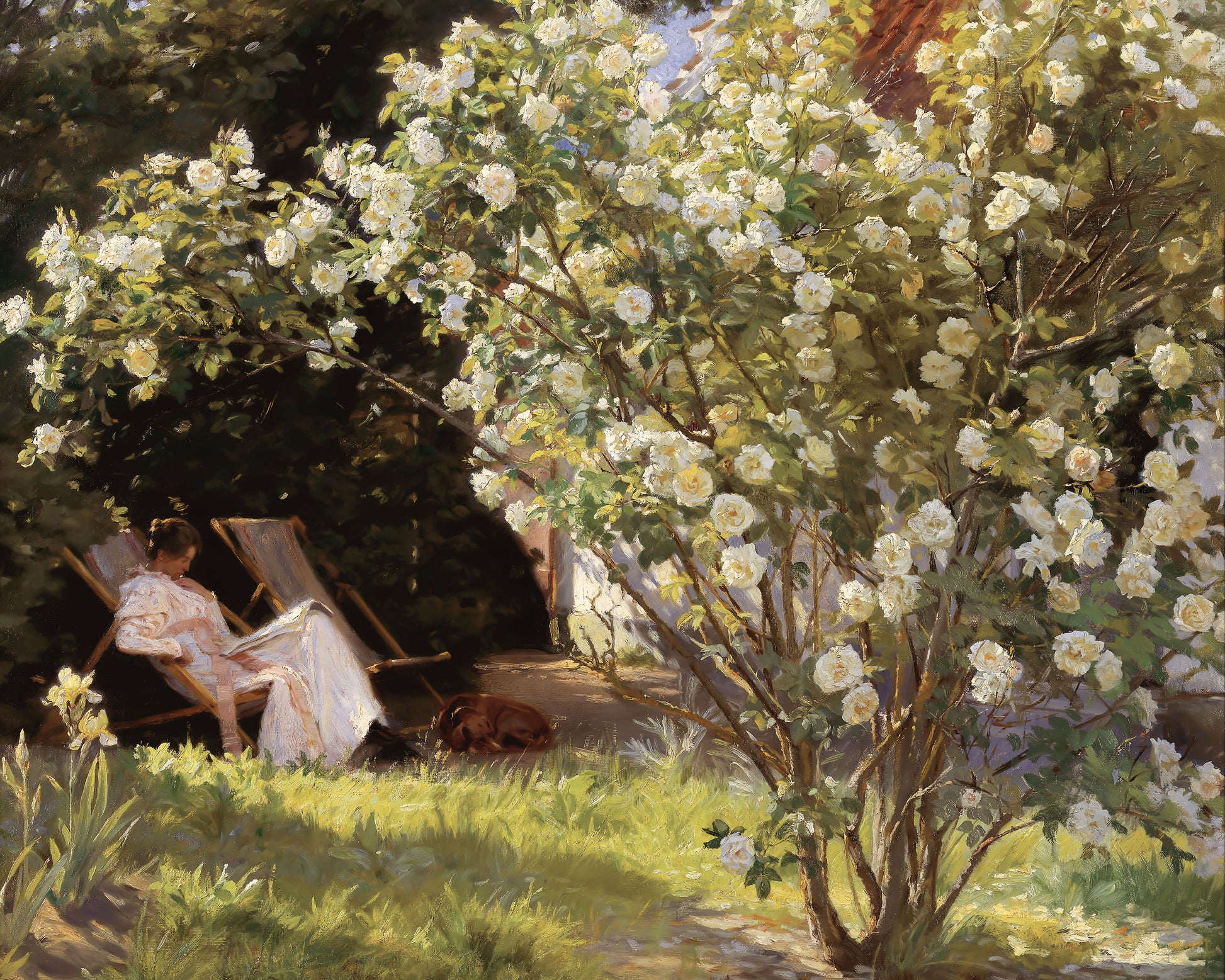 Art print of Roses. Marie Krøyer seated in the deckchair in the garden by Mrs Bendsen’s house by Peder Severin Krøyer, 1893