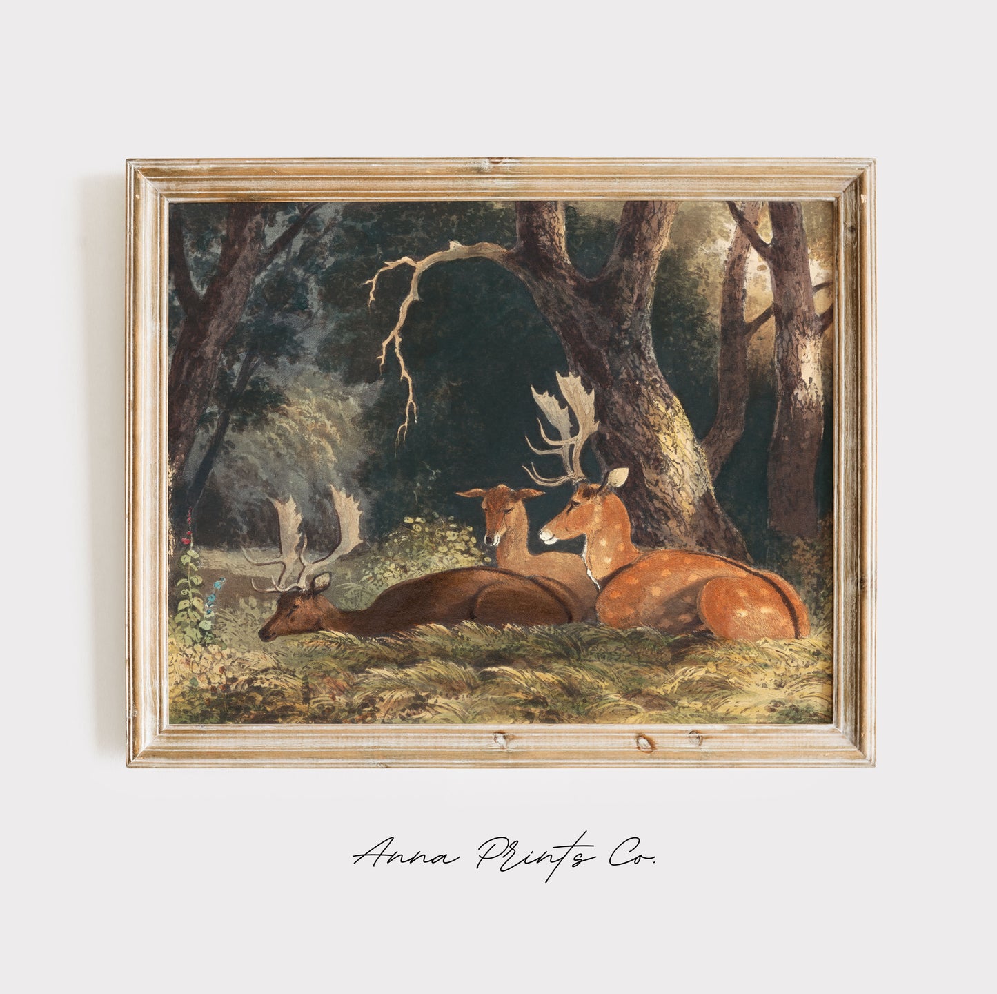 Vintage art print of Fallow Deer Cottage Animal Painting displayed in wooden frame