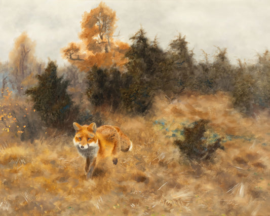 Art print of Fox in Autumn Landscape by Bruno Liljefors, 1919