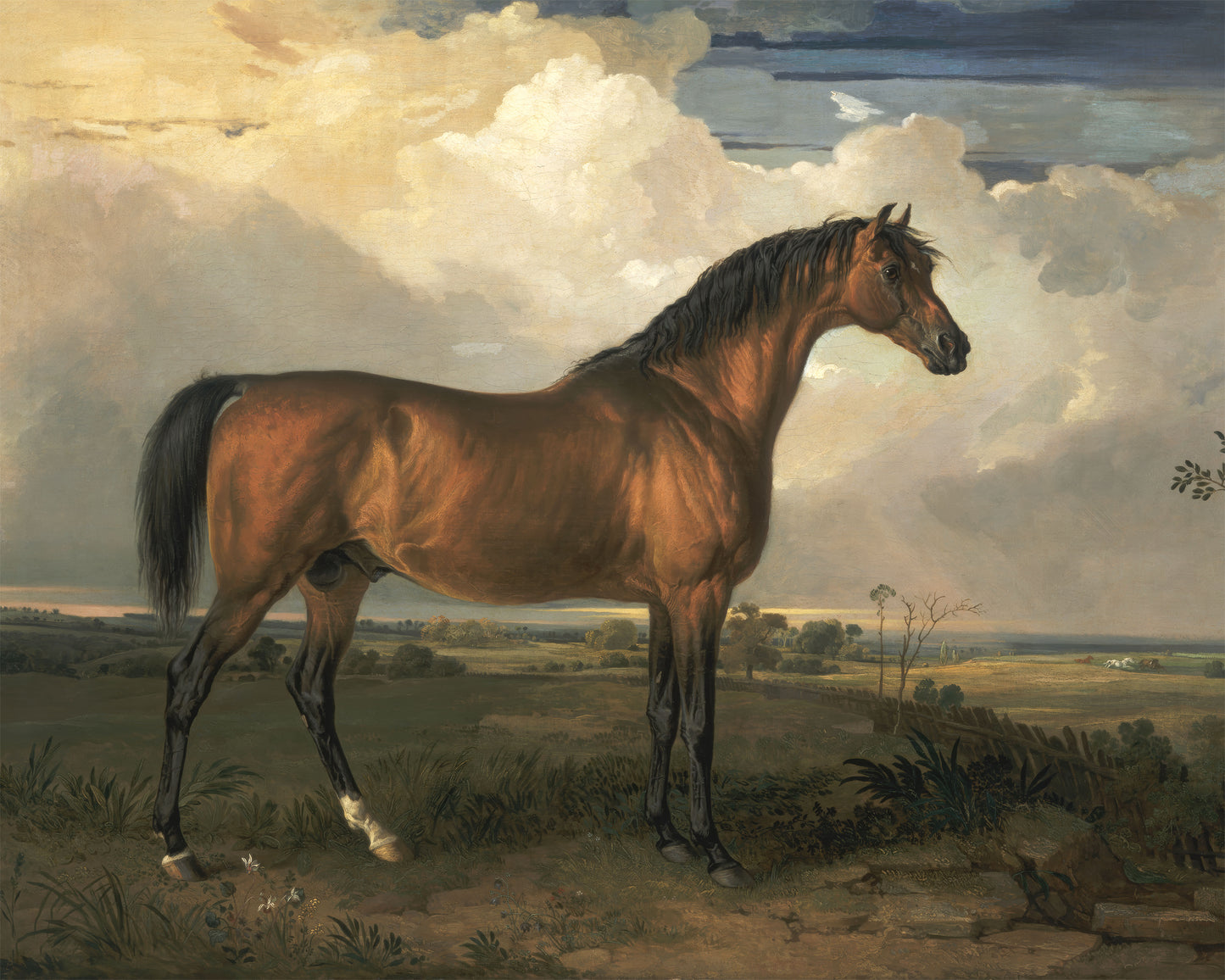 Art print of Eagle, a Celebrated Stallion by James Ward, 1809