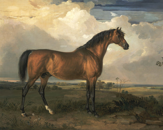 Art print of Eagle, a Celebrated Stallion by James Ward, 1809