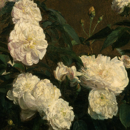 Close-up of white flowers with green leaves on a dark background