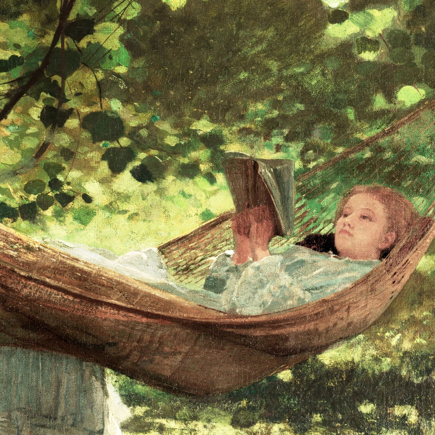 Person reading a book in a hammock surrounded by green foliage