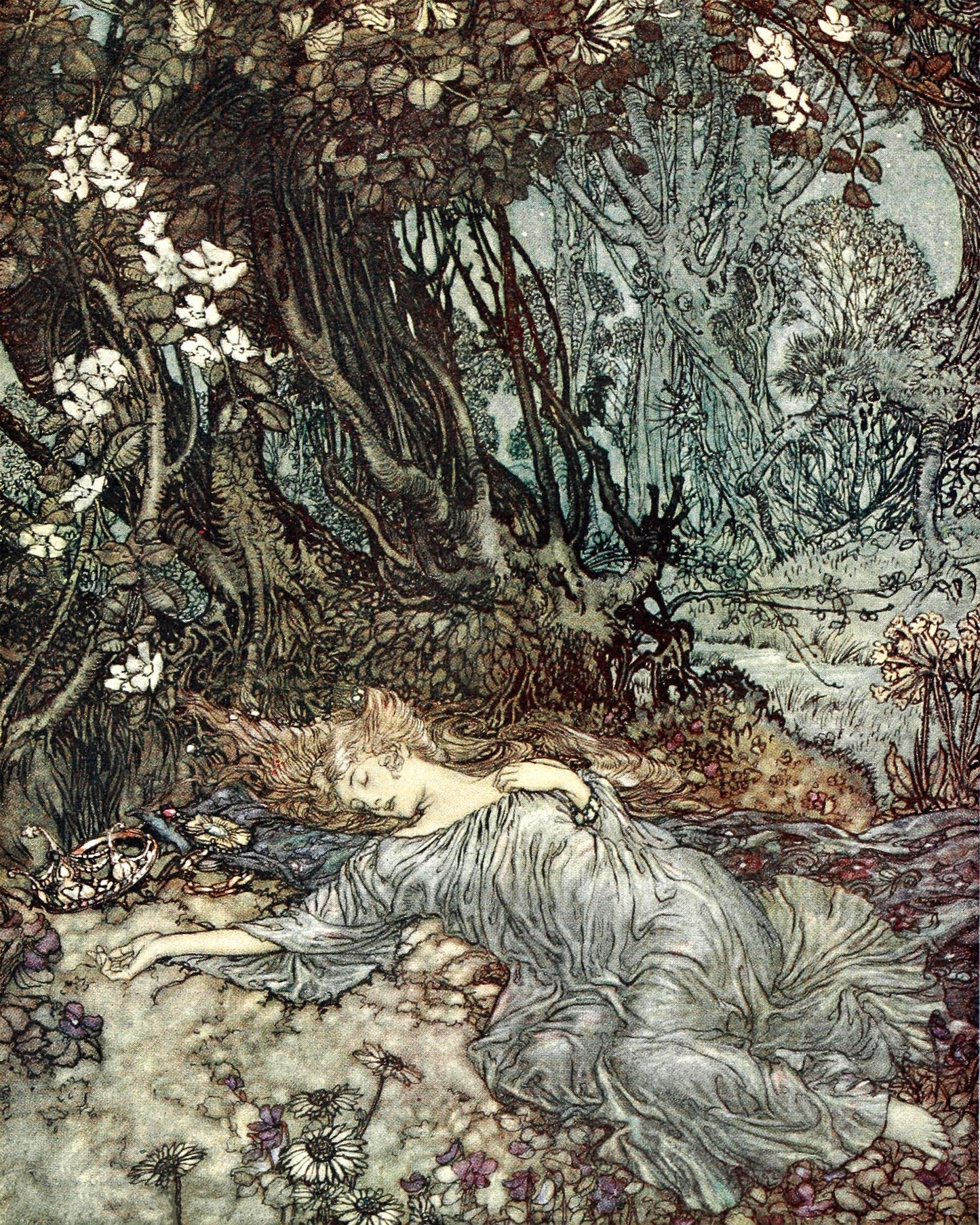 Art print of Titania Asleep by Arthur Rackham, 1908