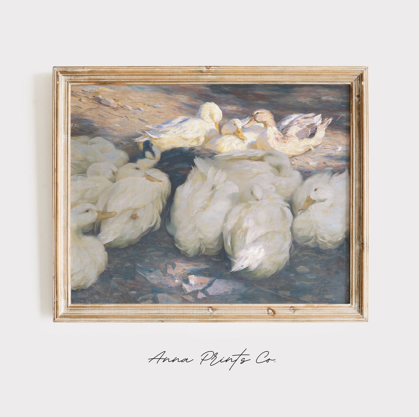 Vintage art print of White Ducks Animal Painting displayed in wooden frame