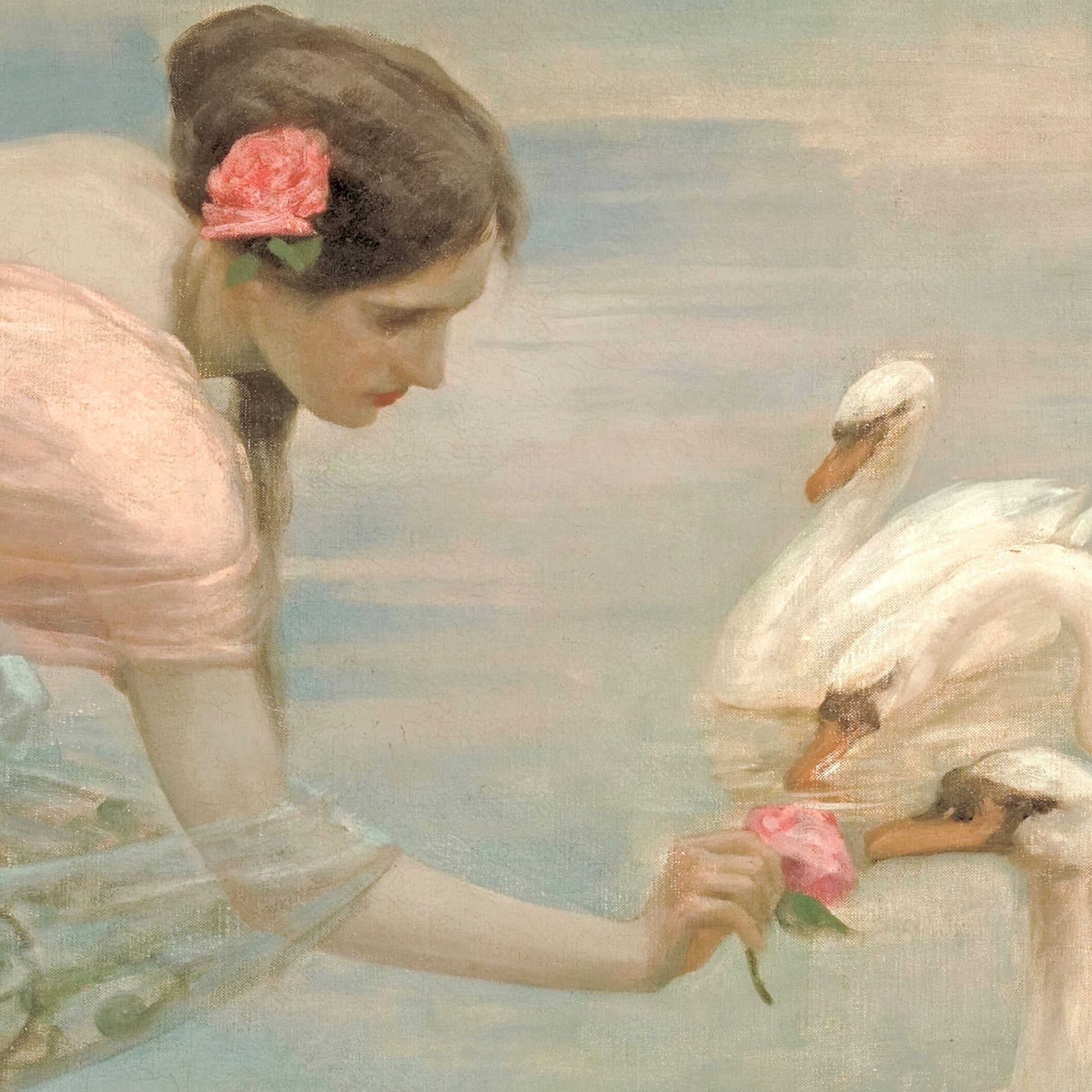 Woman in a pink dress interacting with swans on a misty lake