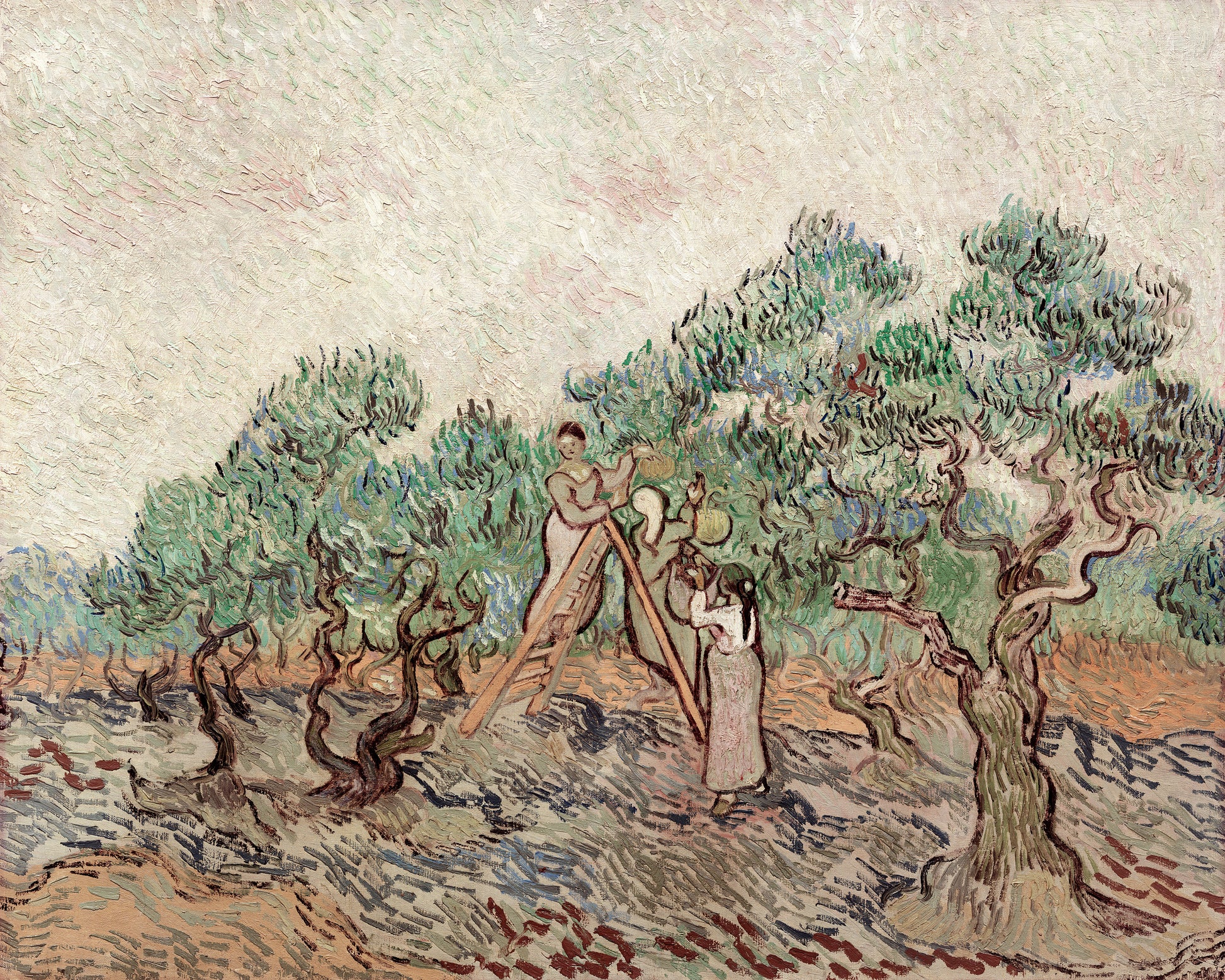 Art print of The Olive Orchard by Vincent Van Gogh, 1889