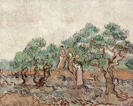 Art print of The Olive Orchard by Vincent Van Gogh, 1889