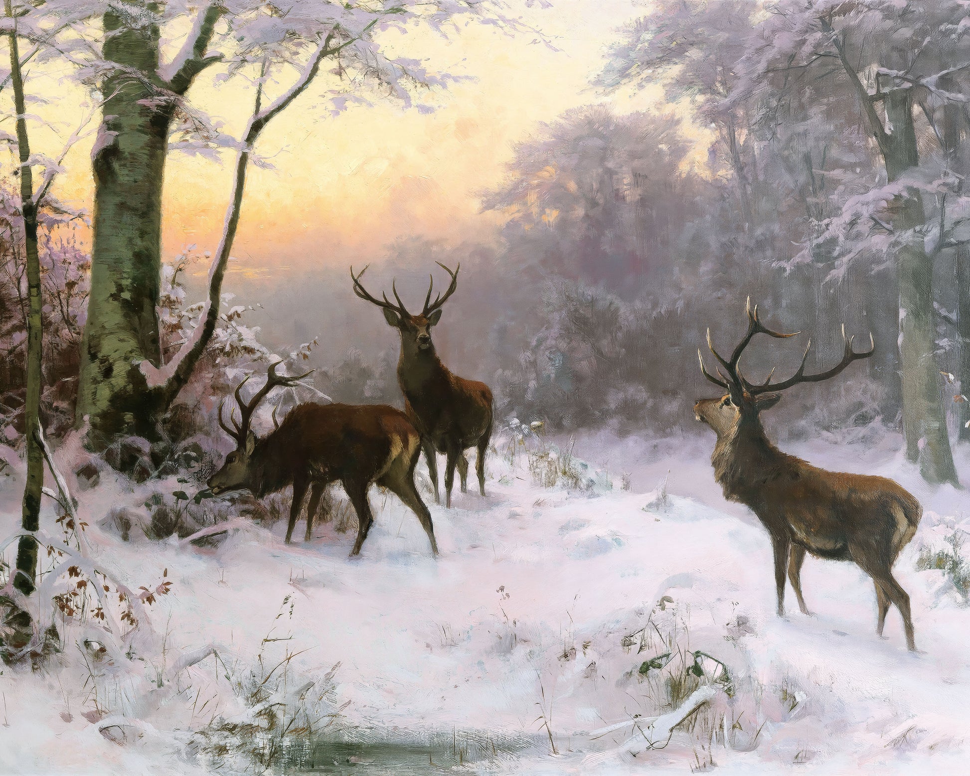 Art print of Wild in the Winter Forest by Arthur Thiele, 1874