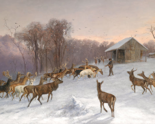 Art print of Feeding Fallow Deer and Red Deer in Winter by Wilhelm Richter, 1878